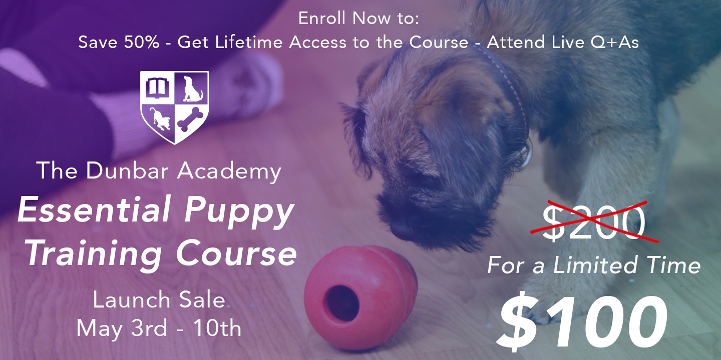 Le cours de formation essentiel pour chiots est là!