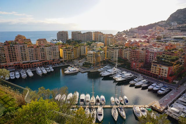 Pourquoi même votre chien aimerait Monaco