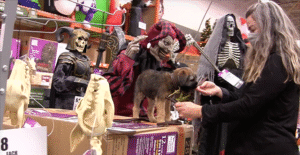 Ne laissez pas votre chiot se faire effrayer cet Halloween