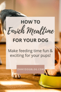 Enrichissement des repas pour votre chien