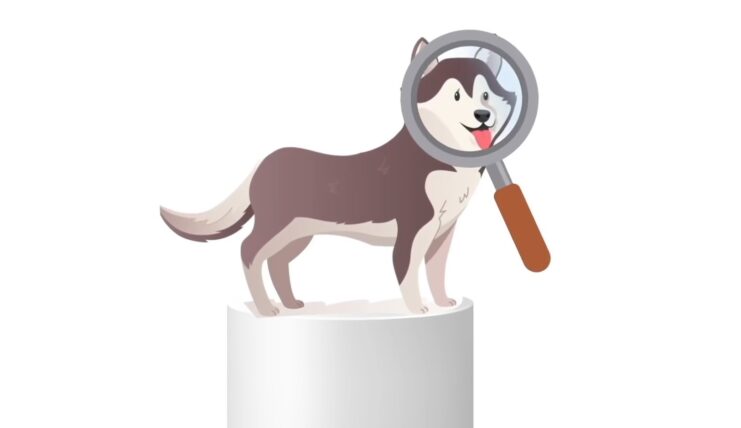 Comprendre le langage corporel des chiens