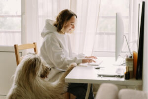soins pour animaux