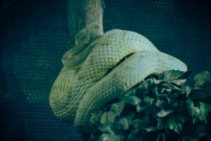 Top 5 humidificateurs